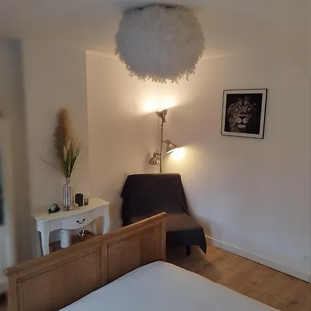 Bali Cocoon * 리에주