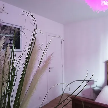 홈스테이 Bali Cocoon *