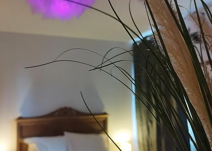 Bali Cocoon Проживание в семье Льеж