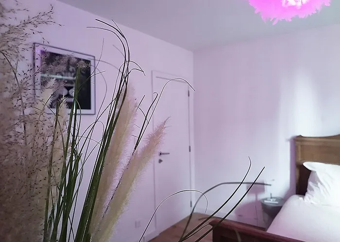 Проживание в семье Bali Cocoon *