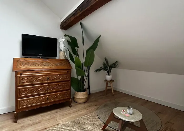 Bali Cocoon Liege